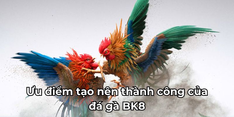 Ưu điểm tạo nên thành công của đá gà BK8